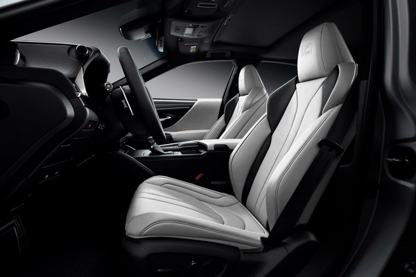 2021 Lexus ES Black Line Interior
