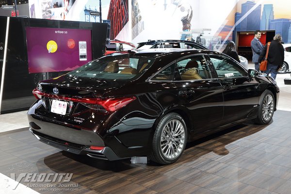 2019 Toyota Avalon