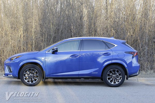 2021 Lexus NX 300H Black Line