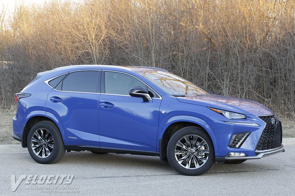 2021 Lexus NX 300H Black Line