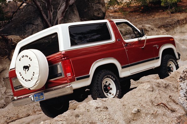 1981 Ford Bronco