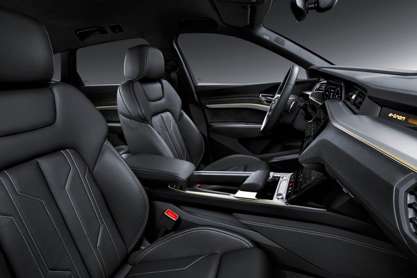 2019 Audi e-tron SUV Interior
