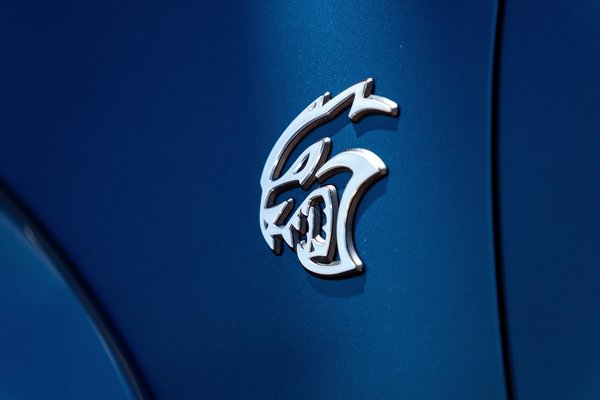 2020 Dodge SRT Hellcat Widebody