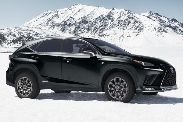 2021 Lexus NXh Black Line